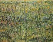 盛开的牧场 - 文森特·威廉·梵高